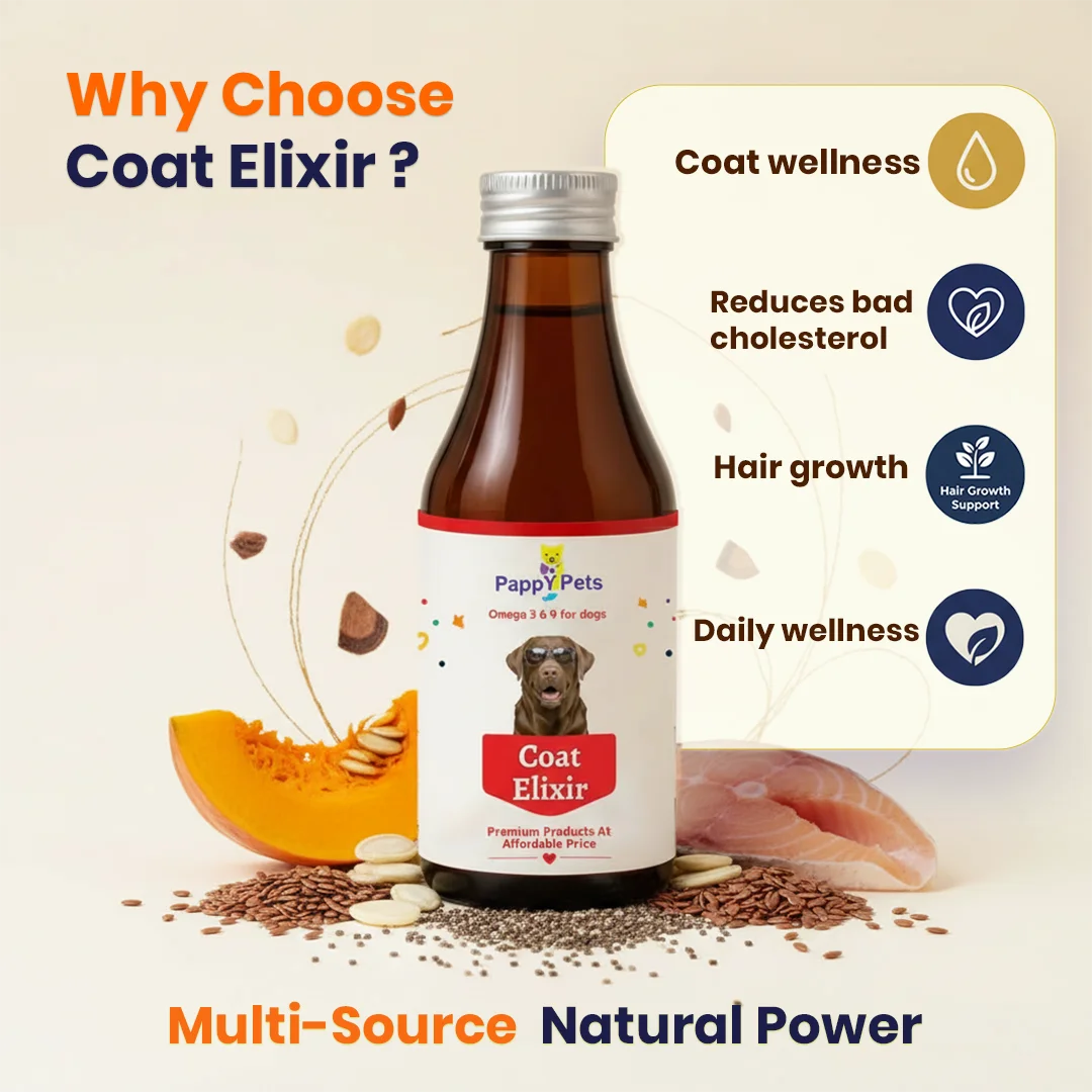Coat Elixir Advanced Fish Oil image 2